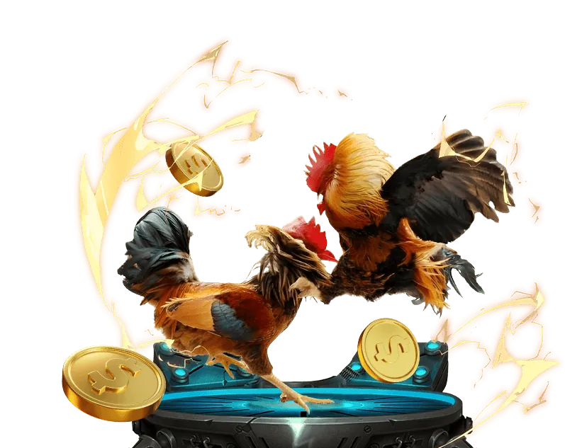 Giao diện ứng dụng đá gà Thomo trên điện thoại